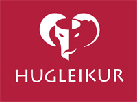 hugleikur_logo